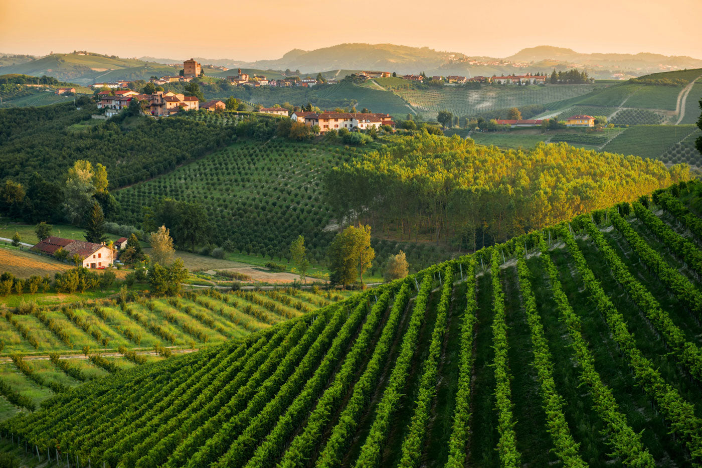 La Tonda Dolci - Monferrato